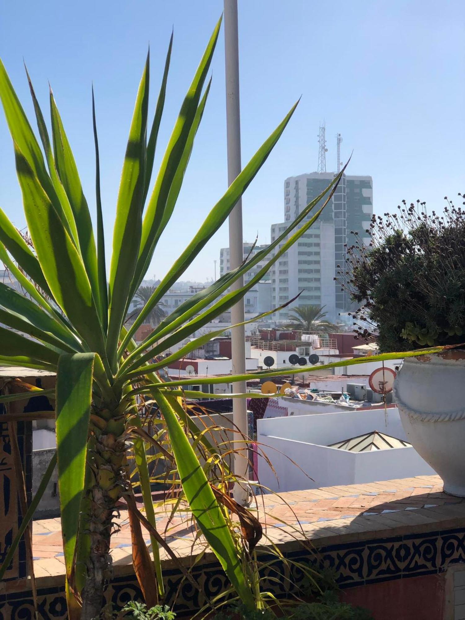 Riad Razoli Sidi Fateh Rabat Buitenkant foto